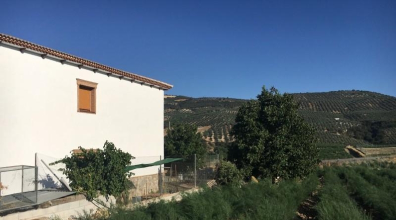Granada - Montefrío - 336m2
