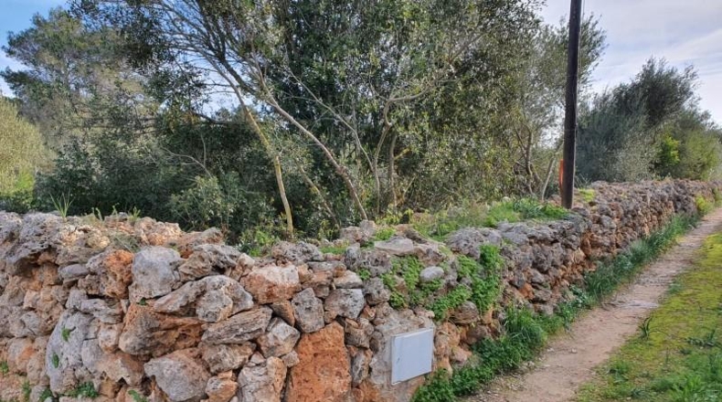 Illes Balears - Pòrtol - 989m2