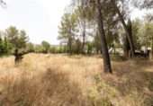 Suelo urbano en venta en la España, Albolote, ref: TR308864 foto