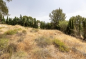Suelo urbano en venta en la España, Albolote, ref: TR308864 foto