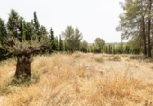 Suelo urbano en venta en la España, Albolote, ref: TR308864 foto