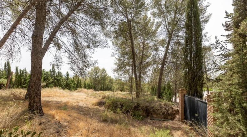 Granada - Albolote - 1453m2
