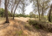 Suelo urbano en venta en la España, Albolote, ref: TR308864 foto