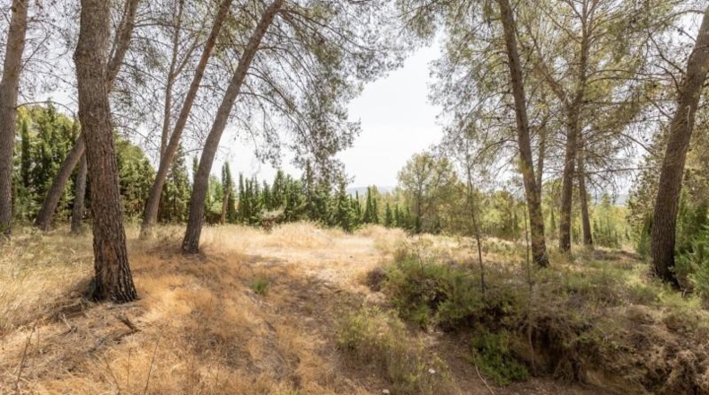 Granada - Albolote - 1453m2