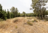 Suelo urbano en venta en la España, Albolote, ref: TR308864 foto