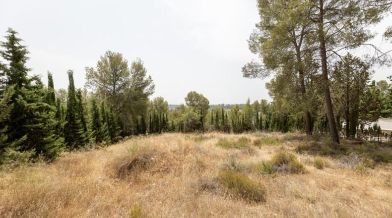 Granada - Albolote - 1453m2