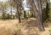 Suelo urbano en venta en la España, Albolote, ref: TR308864 foto