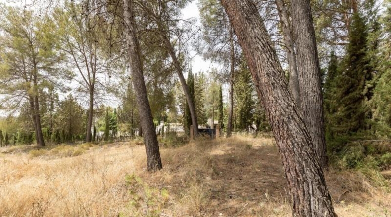Granada - Albolote - 1453m2