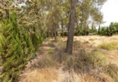 Suelo urbano en venta en la España, Albolote, ref: TR308864 foto