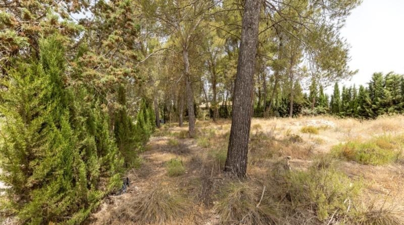 Granada - Albolote - 1453m2