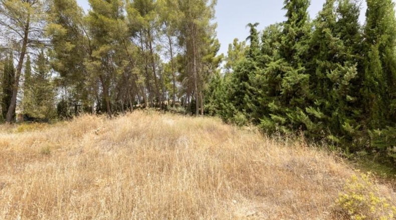 Granada - Albolote - 1453m2