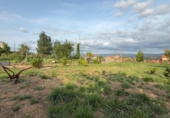Finca rústica en venda a la España, Barbadás, ref.: TR278353 foto