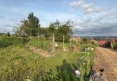 Finca rústica en venda a la España, Barbadás, ref.: TR278353 foto