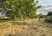 Finca rústica en venda a la España, Barbadás, ref.: TR278353 foto