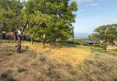 Finca rústica en venda a la España, Barbadás, ref.: TR278353 foto