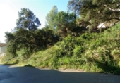 Non-developable land for sale on España, Lloret de Mar, ref: TR116768 photo