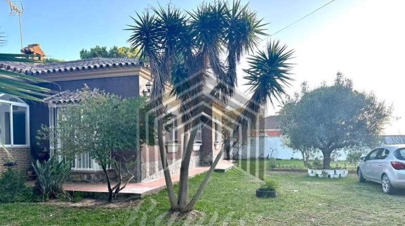 Cádiz - Chiclana de la Frontera - 2000m2