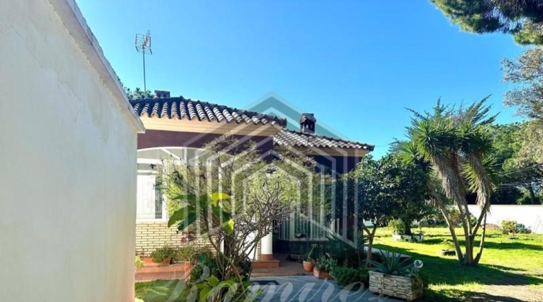 Cádiz - Chiclana de la Frontera - 2000m2