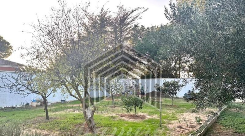 Cádiz - Chiclana de la Frontera - 2000m2