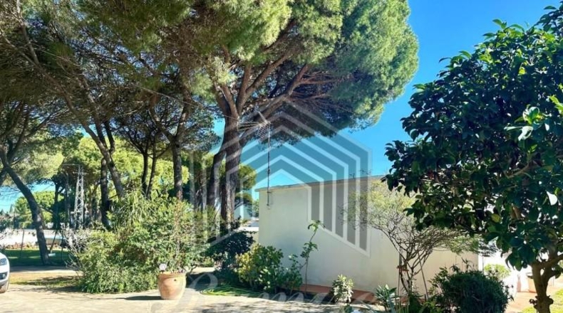 Cádiz - Chiclana de la Frontera - 2000m2