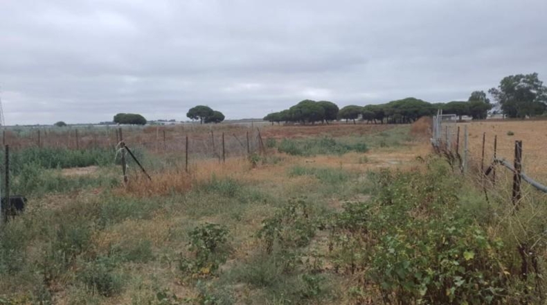 Cádiz - Chipiona - 35000m2