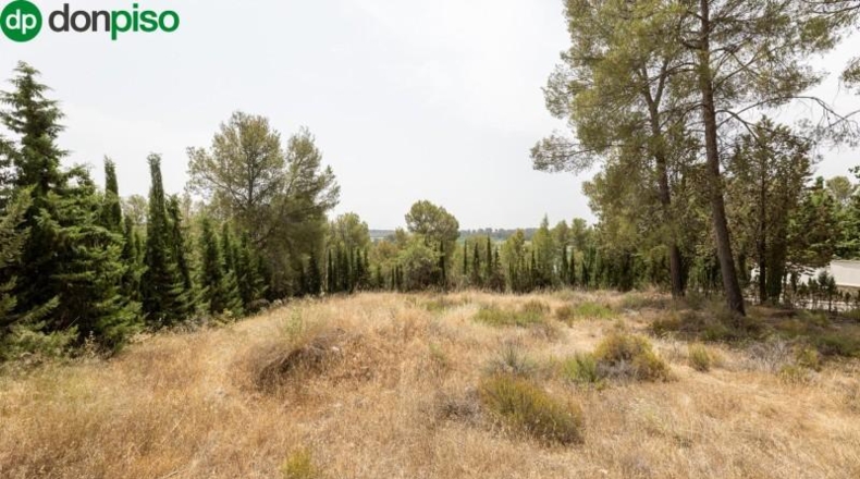 Granada - Albolote - 1453m2