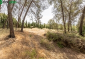 Sòl urbà en venda a la España, Albolote, ref.: TR261951 foto