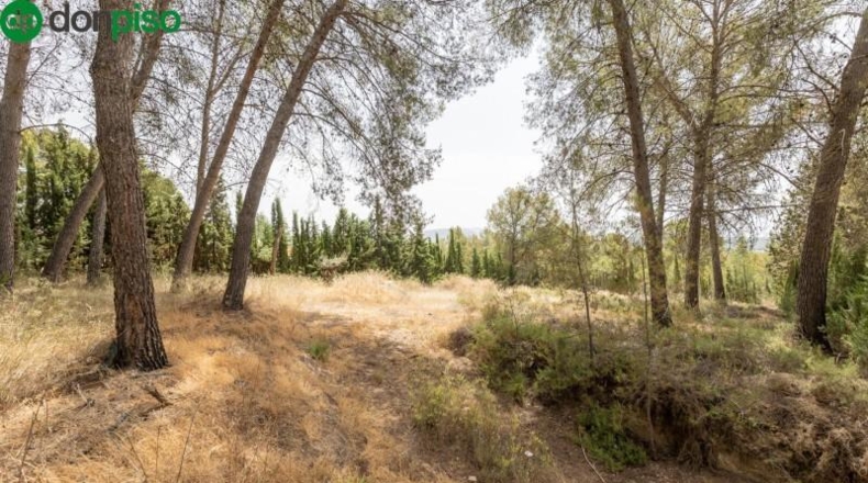 Granada - Albolote - 1453m2