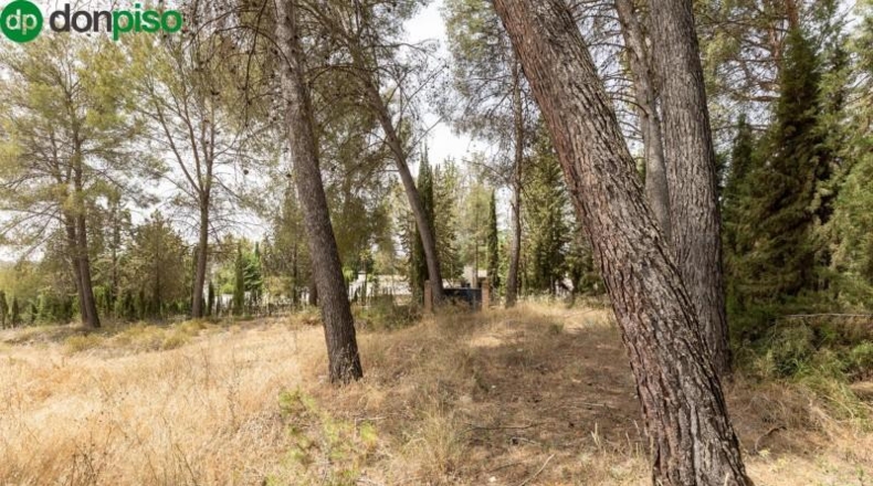 Granada - Albolote - 1453m2
