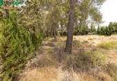 Sòl urbà en venda a la España, Albolote, ref.: TR261951 foto