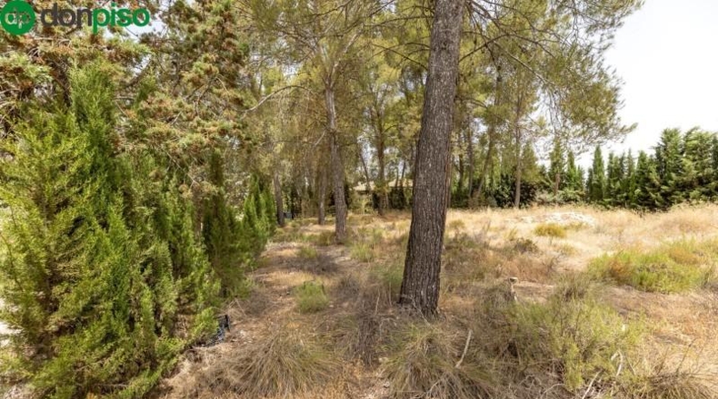 Granada - Albolote - 1453m2