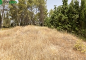 Sòl urbà en venda a la España, Albolote, ref.: TR261951 foto