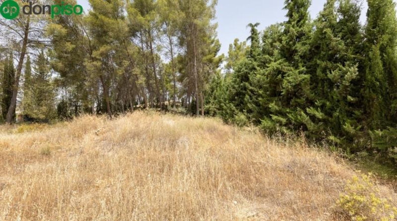 Granada - Albolote - 1453m2