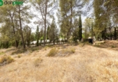 Sòl urbà en venda a la España, Albolote, ref.: TR261951 foto