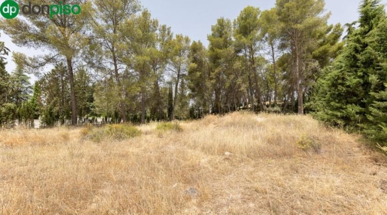 Granada - Albolote - 1453m2