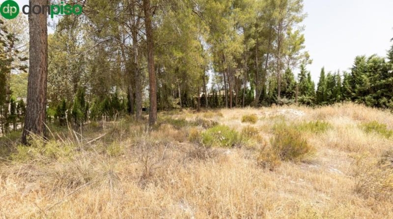 Granada - Albolote - 1453m2