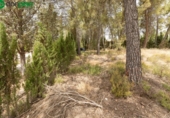 Sòl urbà en venda a la España, Albolote, ref.: TR261951 foto