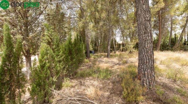 Granada - Albolote - 1453m2