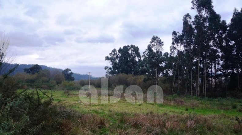 La Coruña - Narón - 3352m2