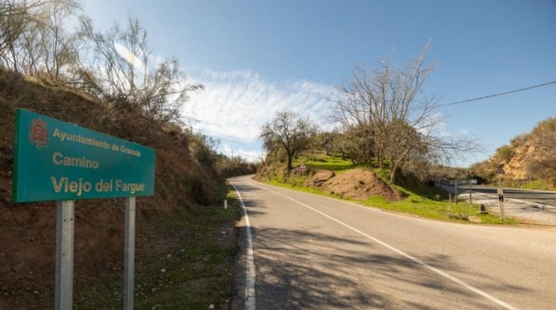 Granada - Granada - 39840m2
