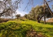 Chalet independiente con terreno en venta en la España, Granada, ref: TR309760 foto