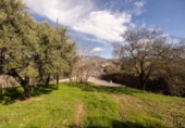 Chalet independiente con terreno en venta en la España, Granada, ref: TR309760 foto