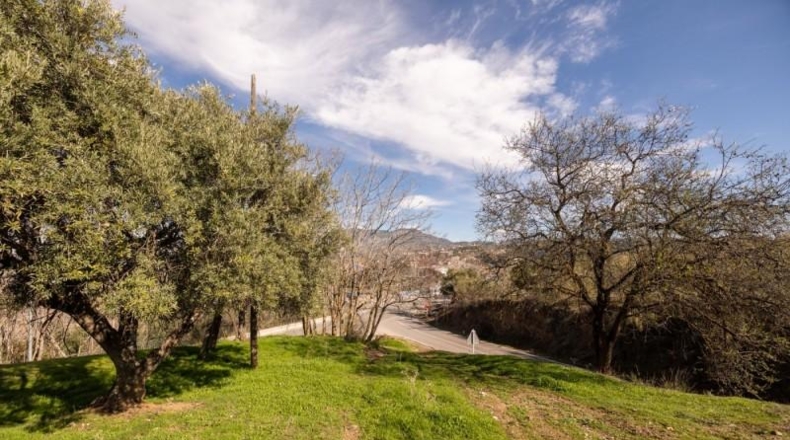 Granada - Granada - 39840m2