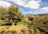 Chalet independiente con terreno en venta en la España, Granada, ref: TR309760 foto