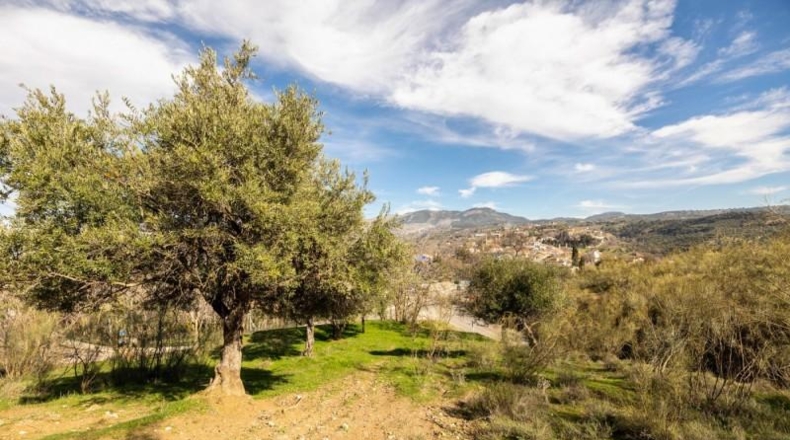 Granada - Granada - 39840m2