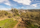 Chalet independiente con terreno en venta en la España, Granada, ref: TR309760 foto