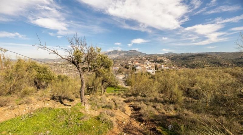 Granada - Granada - 39840m2