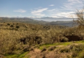 Chalet independiente con terreno en venta en la España, Granada, ref: TR309760 foto