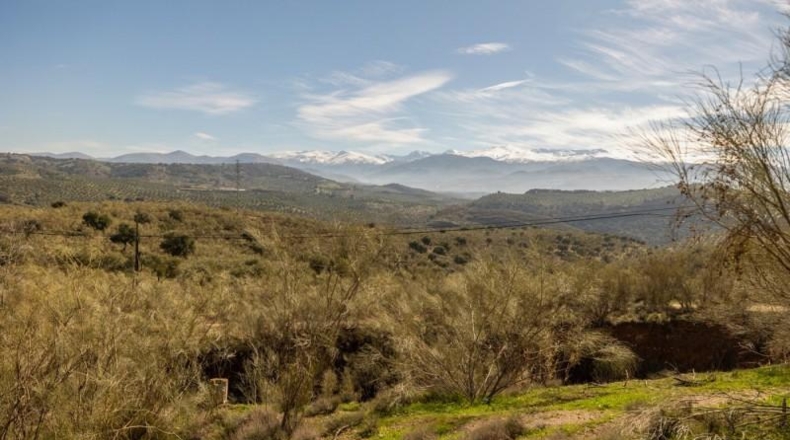 Granada - Granada - 39840m2