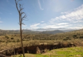 Chalet independiente con terreno en venta en la España, Granada, ref: TR309760 foto
